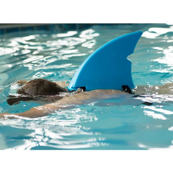 fin fun sharkfin